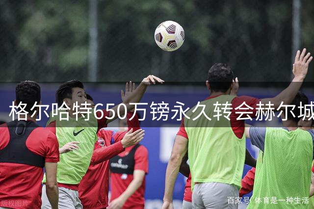 格尔哈特650万镑永久转会赫尔城在即